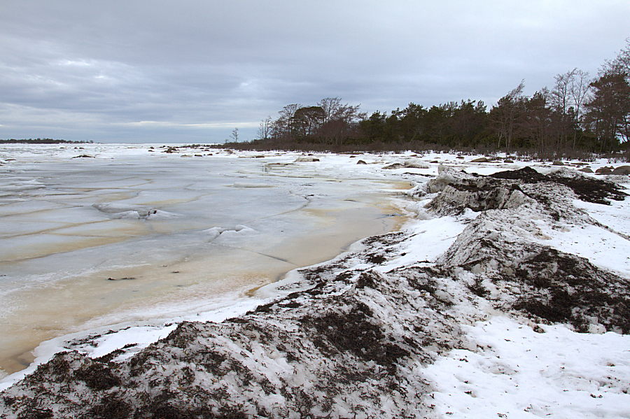 Keskikärki Keskikärki