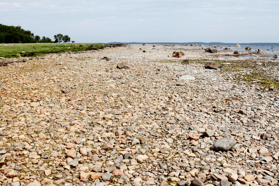 Hanhiston ranta