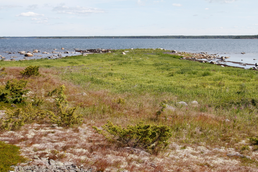 Domarkobban, pohjoiskärki Domarkobban, pohjoiskärki