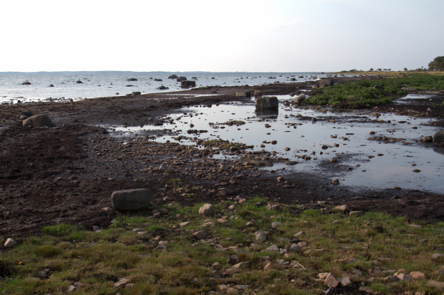 Hanhiston kahlaajarantaa
