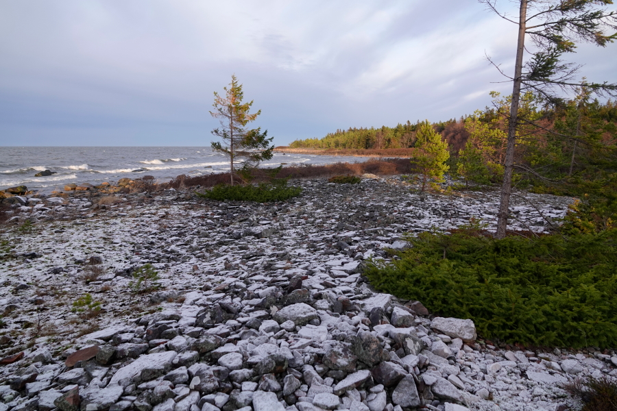 Staijjipaikka