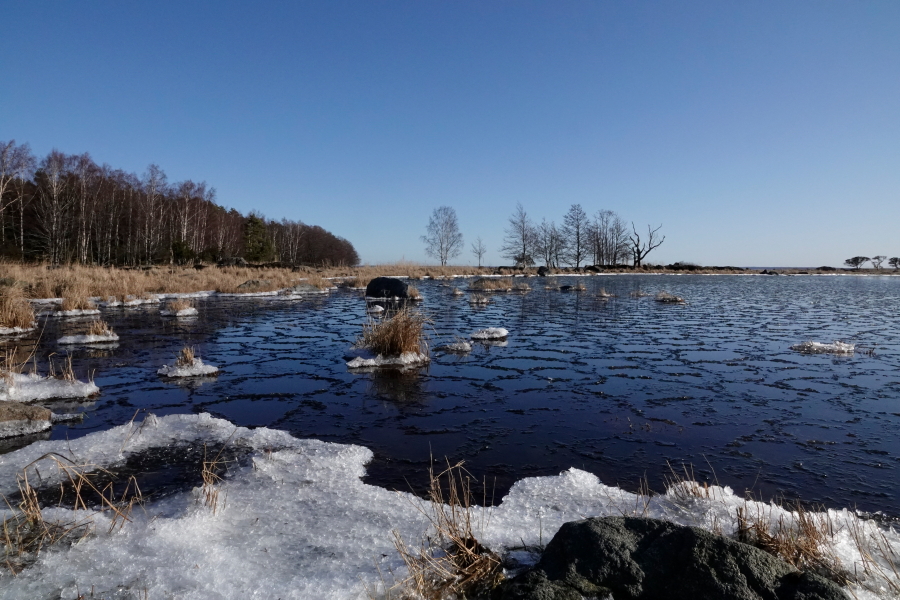 Etel�kari