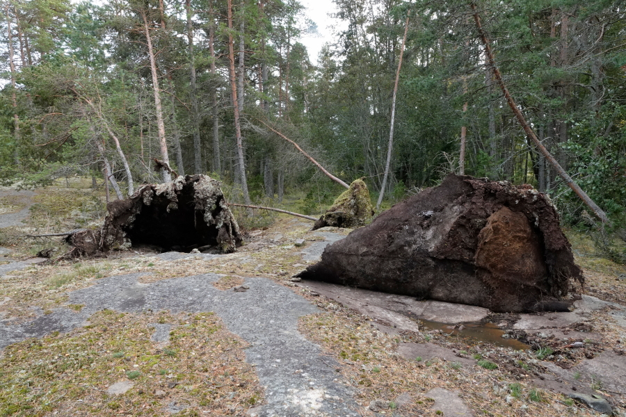 Ullaranta