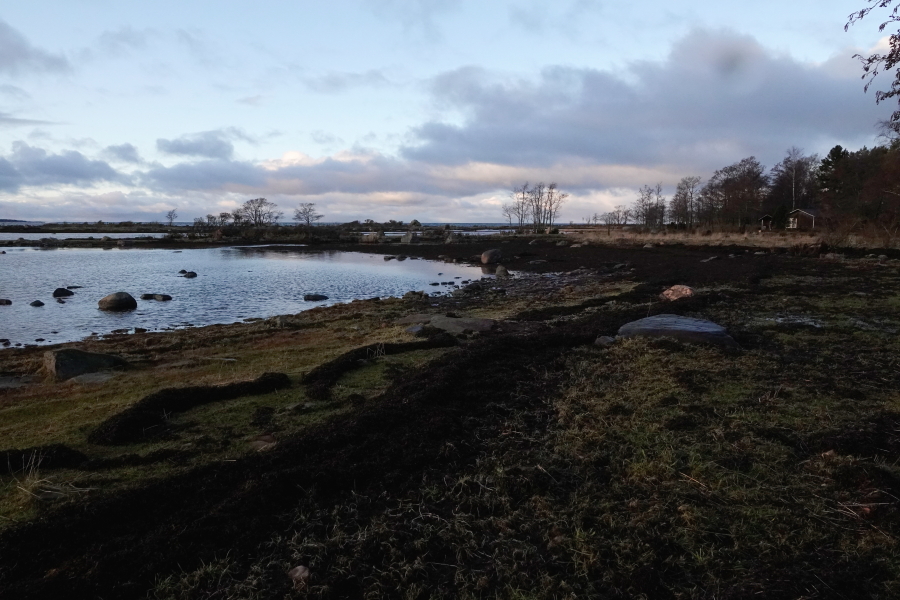 Eteläranta, mökki ja haurut Eteläranta, mökki ja haurut