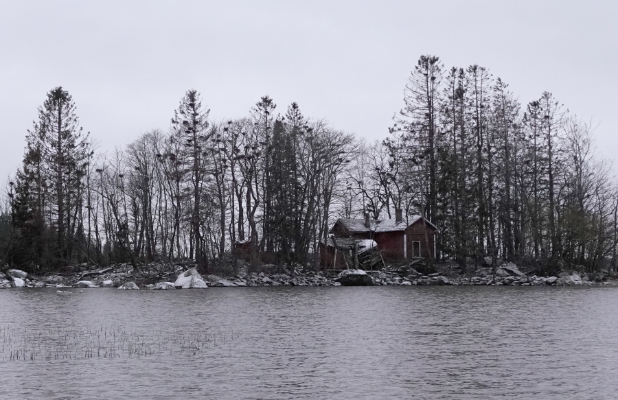 Merimetsojen
pesim�saari Merimetsojen
pesim�saari