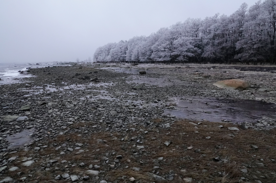 Lepistön
ranta ja matala merivesi Lepistön
ranta ja matala merivesi