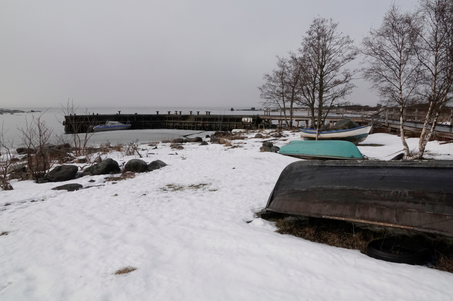 Kruununmöljä Kruununmöljä