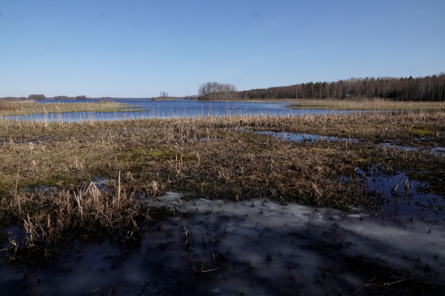 Eteläpää Eteläpää
