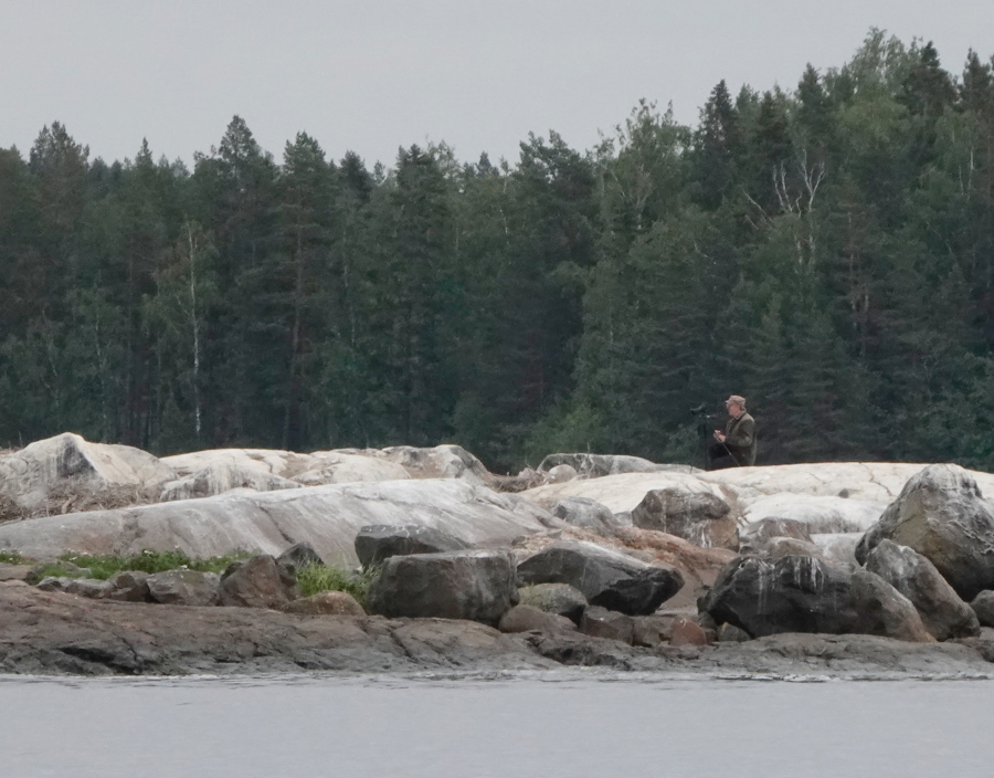 Kuvaaja
pesäsaarella! Kuvaaja
pesäsaarella!