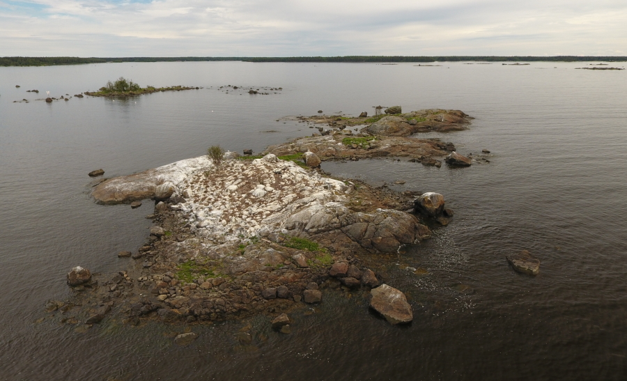 Tyhjiä
pesiä L_E Tyhjiä pesiä L_E