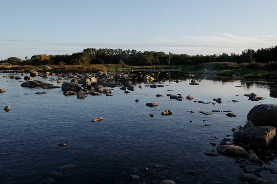 Domarkobban, flada