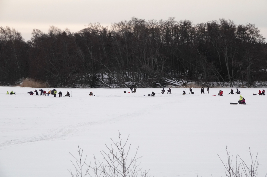 Norssipilkkij�t