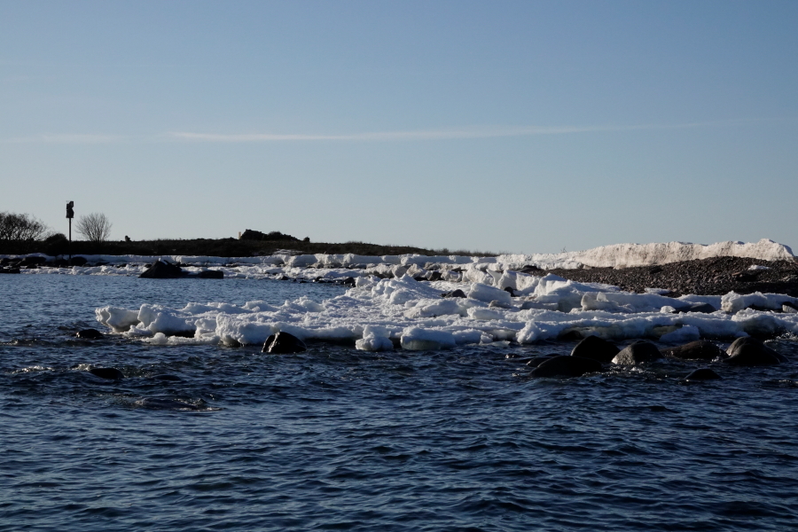 Hylkiriutta