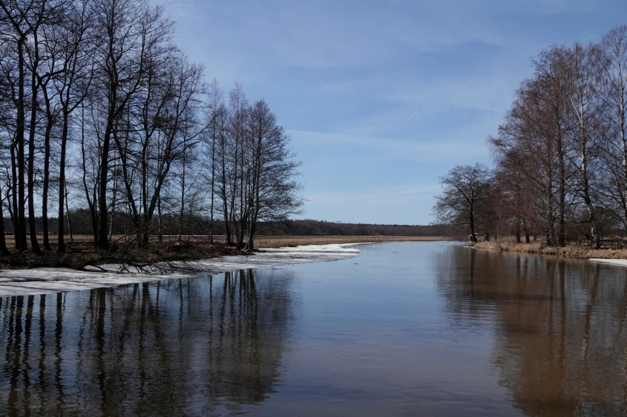 Fleiviikinjuopa