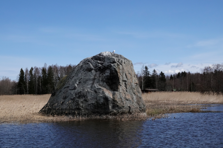 Mormor, Kalalokki