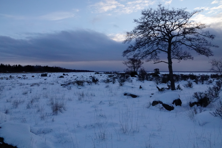 Etel�ranta ja flada