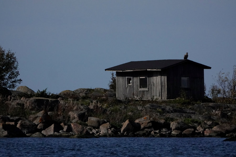 Eekören kalamaja ja merikotka Eekören kalamaja ja merikotka