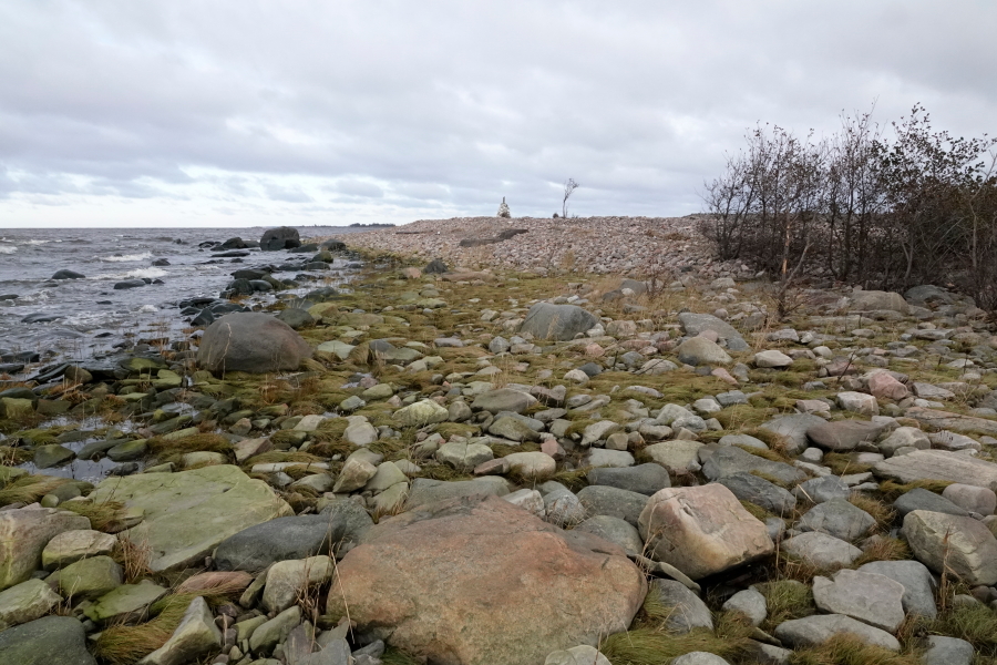 Pohjoiskärki