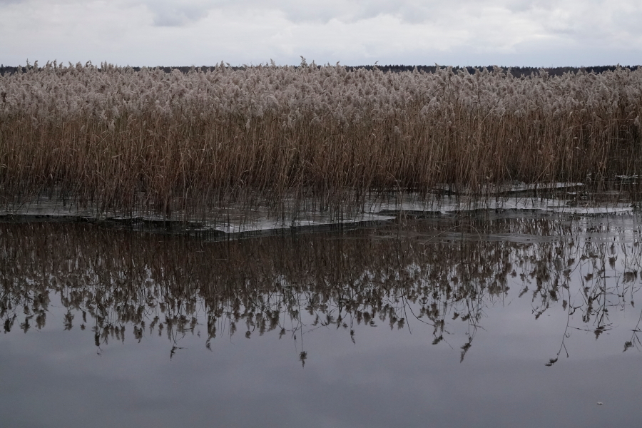 Ruovikko ja jää, Karvianjuopa