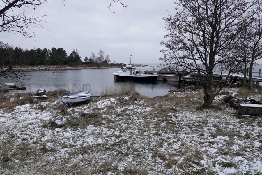 Kruununmöljä Kruununmöljä