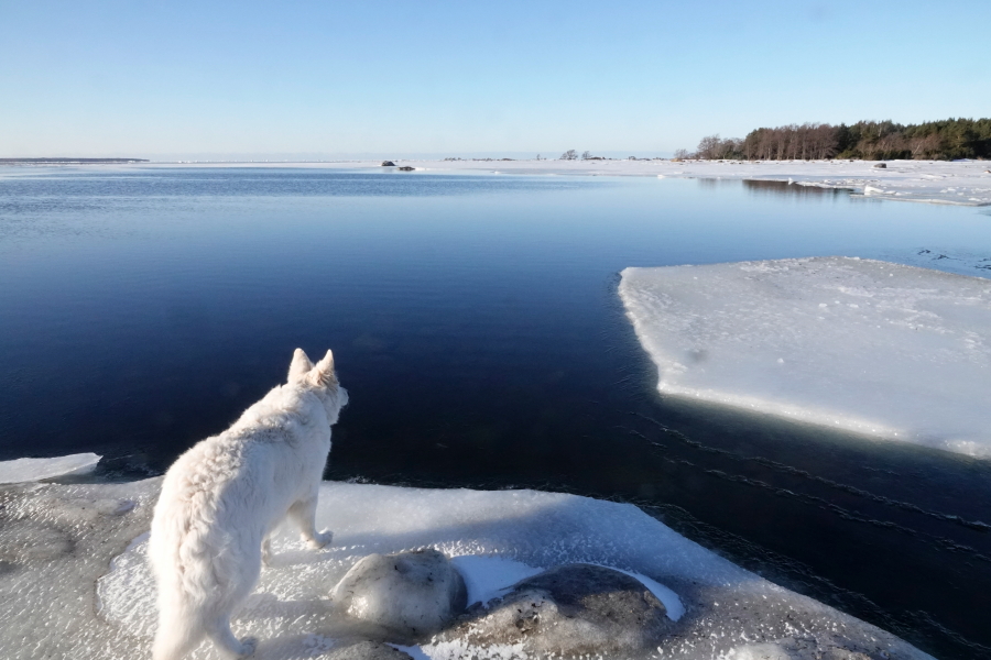 Pinkki Krannin avoveden reunalla Pinkki Krannin avoveden reunalla