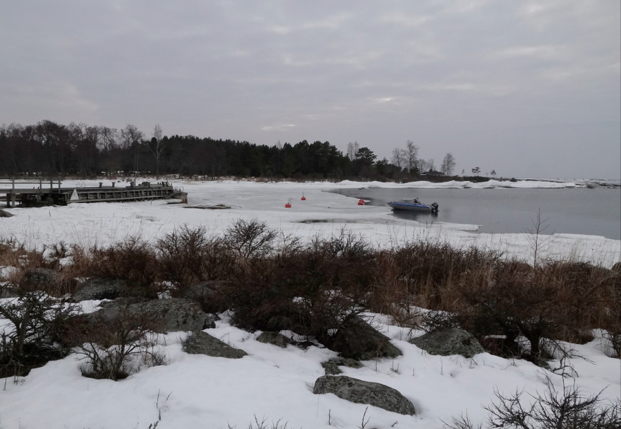 Buster ja Kruununmöljä Buster ja Kruununmöljä