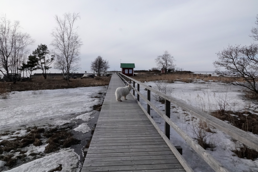 Säppi, lankonki ja Pinkki