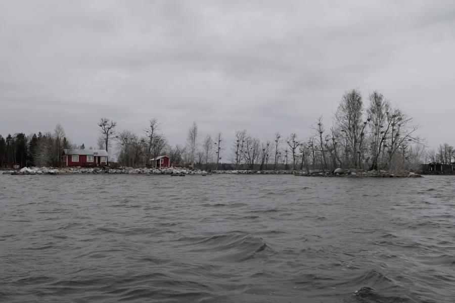 Riutta ja häirityt pesät Riutta ja häirityt pesät