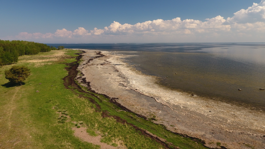 Säppi, Hanhisto
