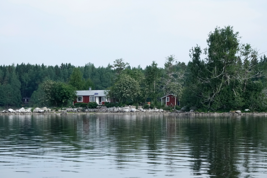 Tuhottu merimetsojen pesäluoto