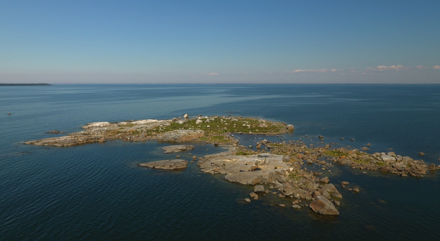 Marjakari Marjakari