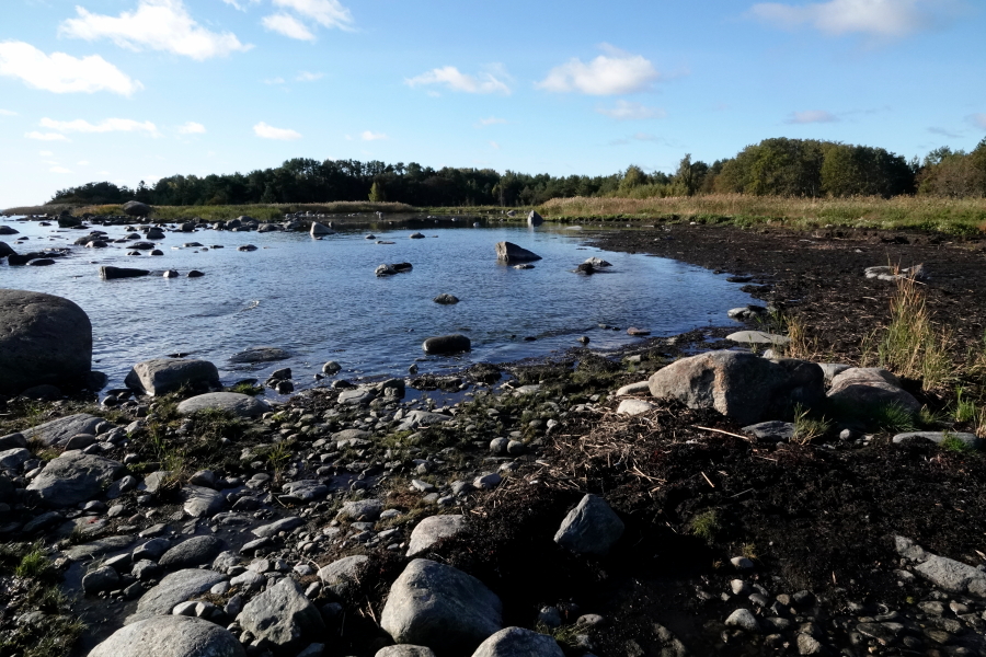 Itäflada
