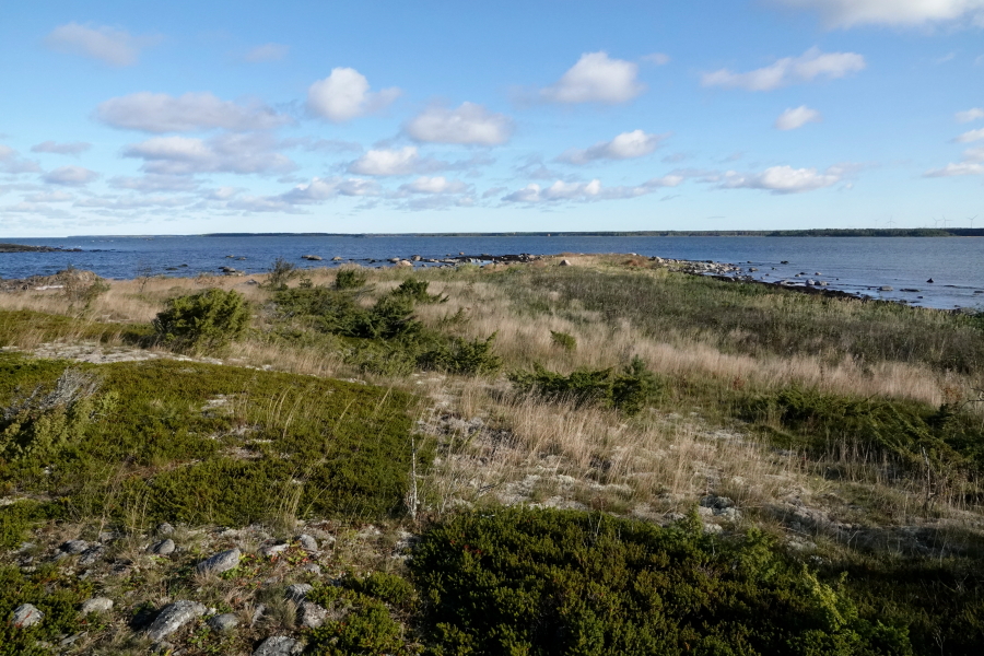 Pohjoiskärki