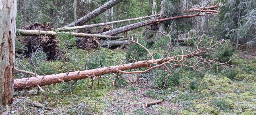 Säppi, Eteläkarin polku