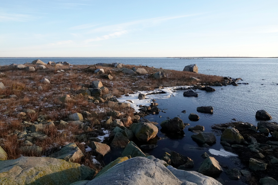 Marjakari itään