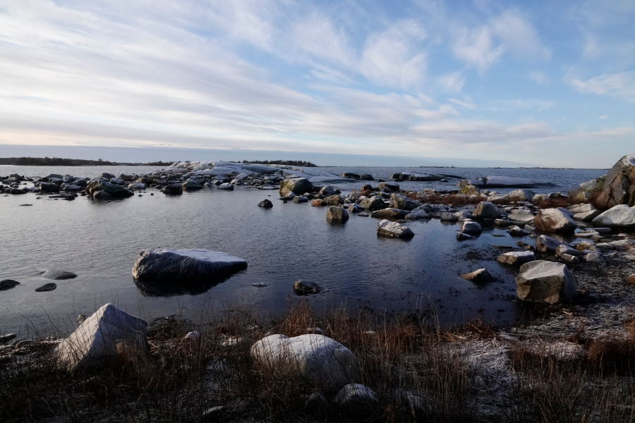 Marjakari itään