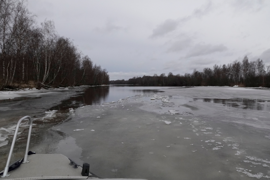 Jääpato Toukarilla Jääpato Toukarilla