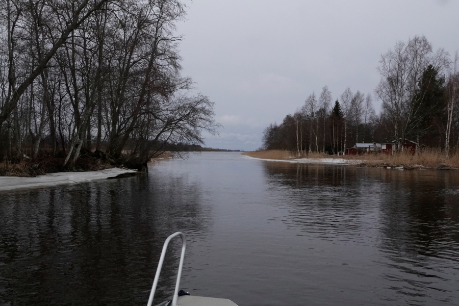 Kiviläjä Kiviläjä