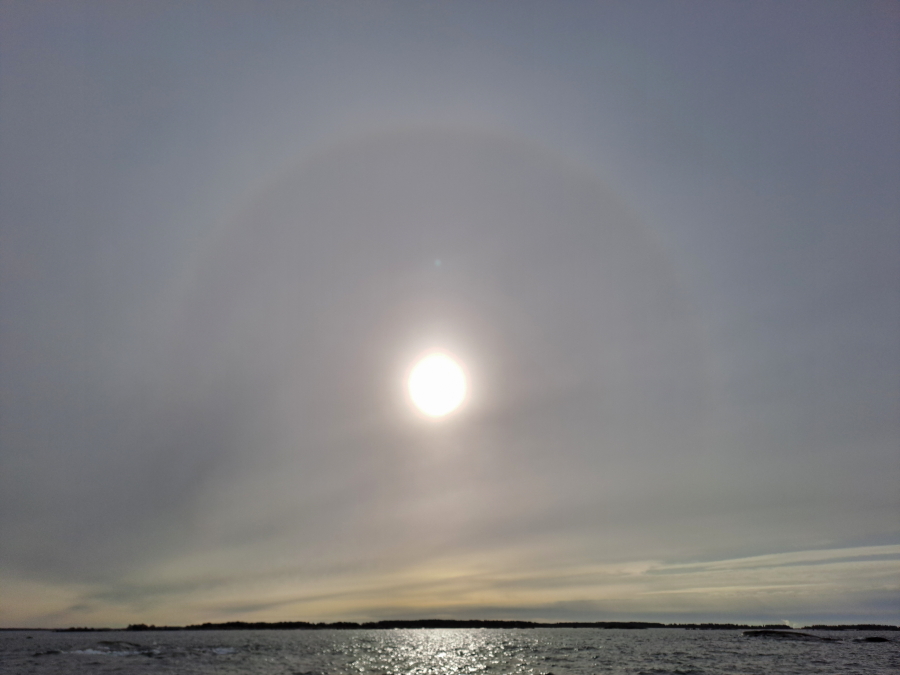 Auringon halo