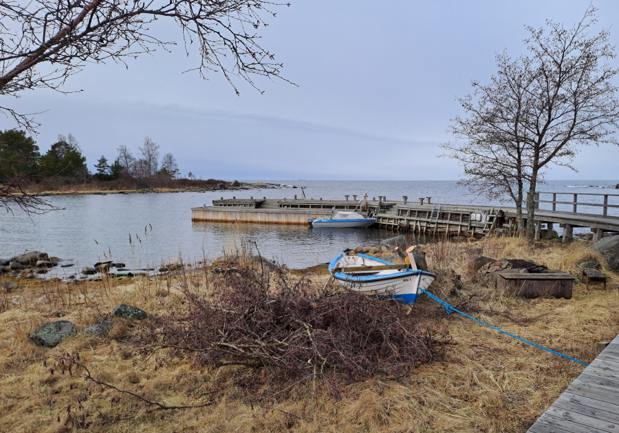 Kruununmöljä