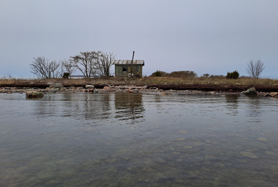 Iso-Räyhä