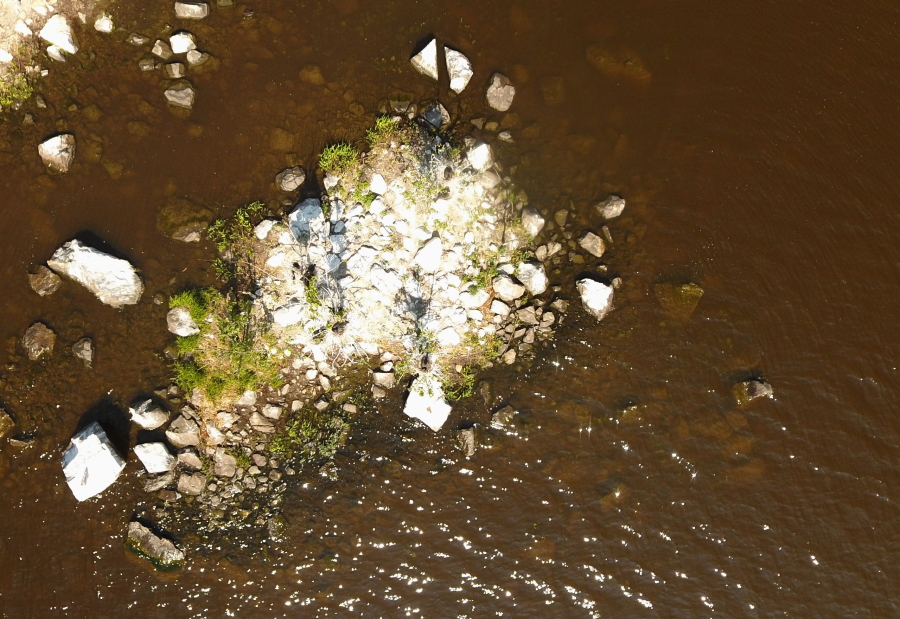 Pikuluoto ja muutama pesä Pikuluoto ja muutama pesä