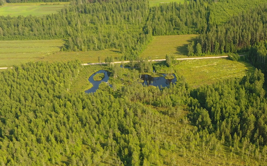Pohjoispään lammikot Pohjoispään lammikot