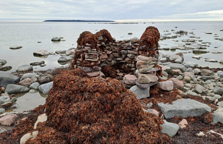 Luoteenräyhä - ampumasuoja