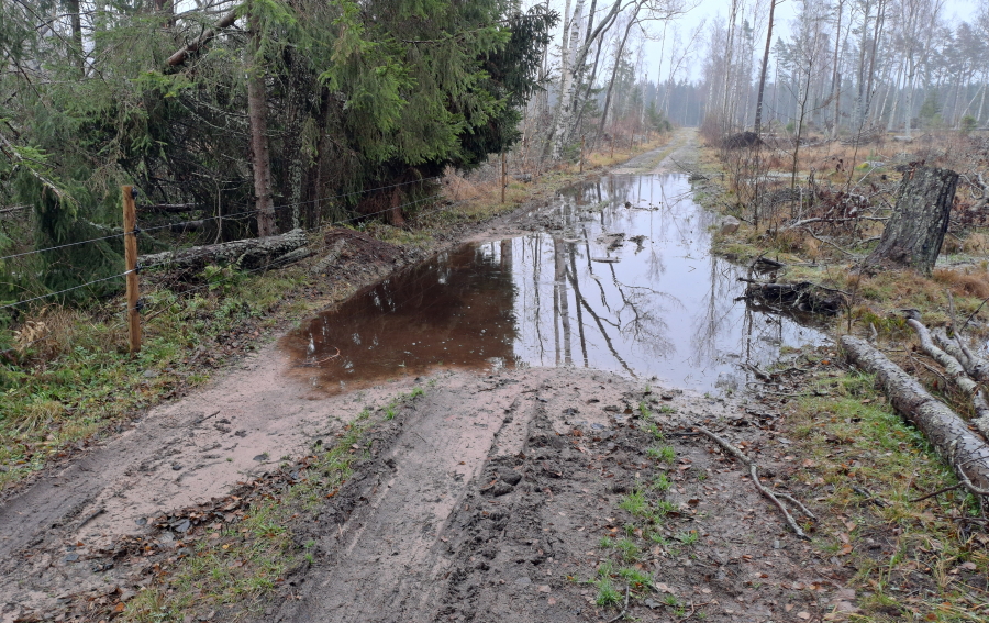 Iso lammikko kärkitiellä