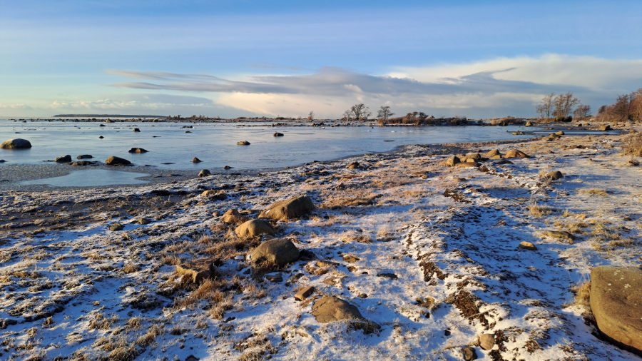 Eteläflada