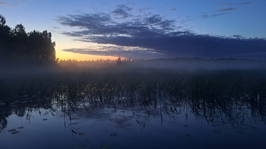 Linteri eli Lindgreninkari