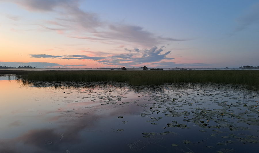 Iltayö