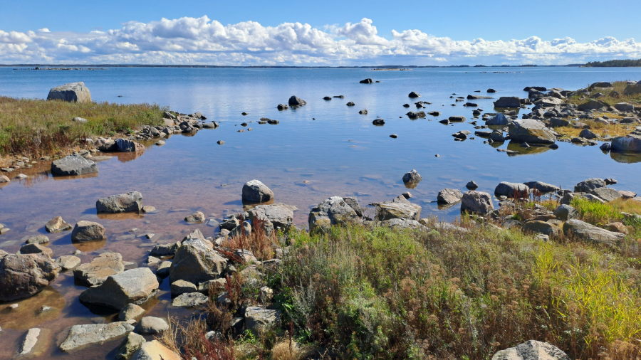 Marjakari