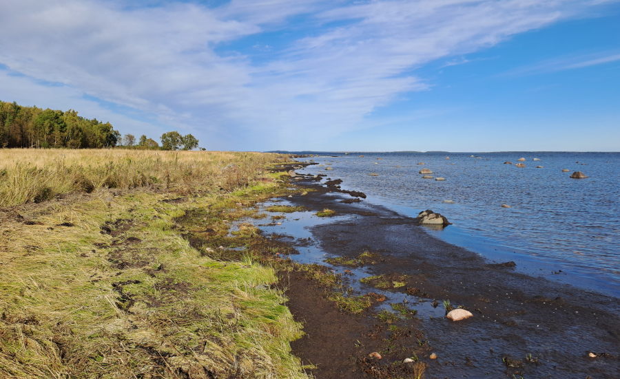 Hanhiston ranta